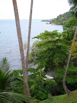 Vue du terrain de 2.5 has de Bocas del Toro, Panama